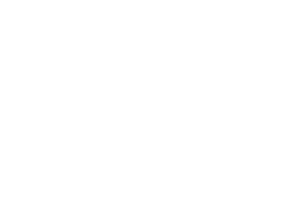 PERLA Social Media Agency